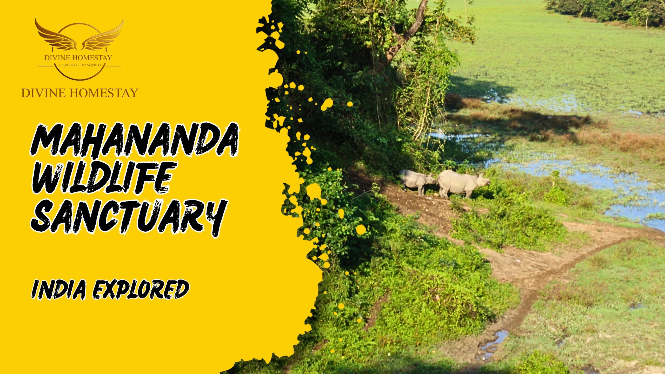 Mahananda Wildlife Sanctuary